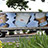 Dunkin'Donuts has introduced new truck graphics designs