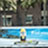 Beautiful truck wrap for Corona featuring KWIK ZIP Truck Graphic System